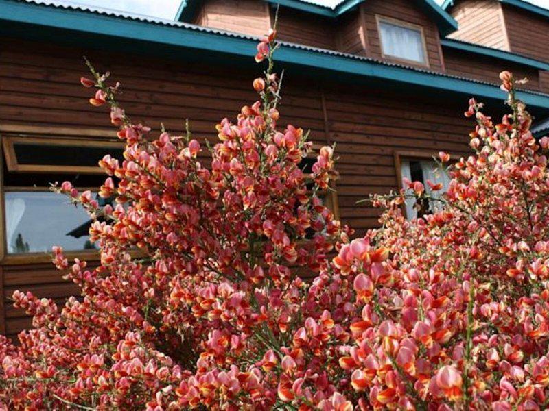 458E2748BAF4450D1524B03283C3105B