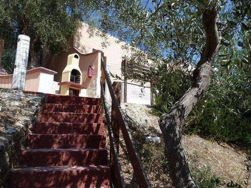 CDC77AB819C58A486E0E37CC49C5429A