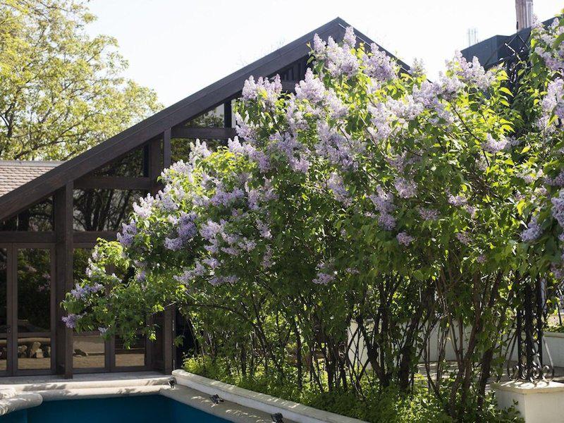 5E6DA87F44CDBF41C8B8ADA9E3F0E525