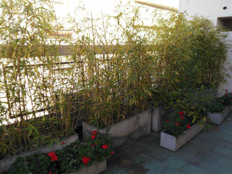 6F5A79FF391A654043CBD5C5863CFB44