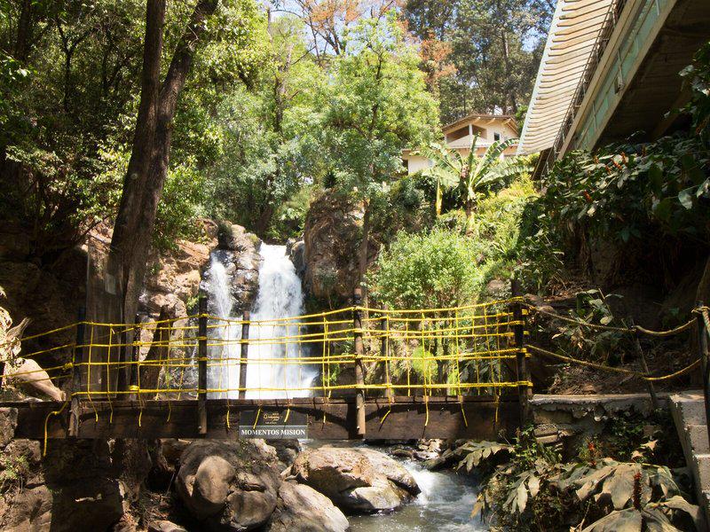 F2F3BF91232CF7B5E3486E652B5C6D02