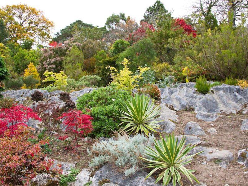 EFDA2797CB080C9155ED4D927071A27A