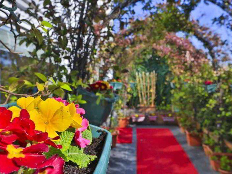 E129EB1BCB4A375C8386CC6D6DE54DE0