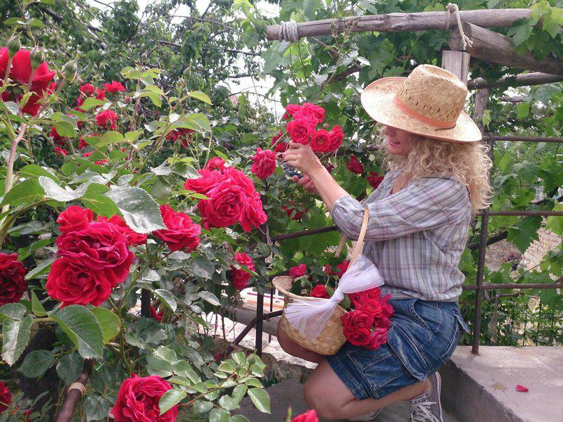 3E042DB4CA3F72FE32826E3E70425E34