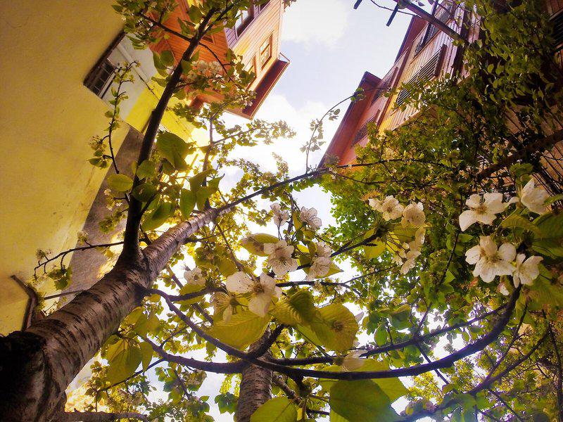 C963A3DD2D6CA0DC1C3EFF6CBF58DC93