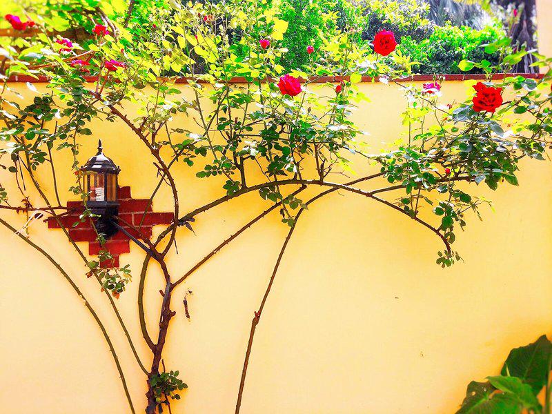 AEABFABD1ACA29E27A627450C9BFDDBA