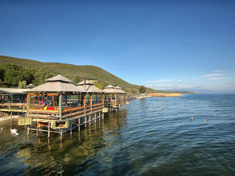 72FA4E01AAFA4E36522DD694943B1624