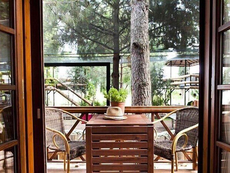 A28715C889C87053352569D10DF34023