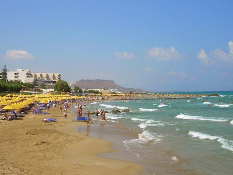 B0CE62891320D144FFCBFFA6B92E8DF1