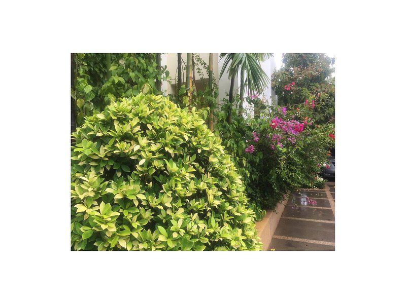 8479B3A8F203912C462091017E518E42