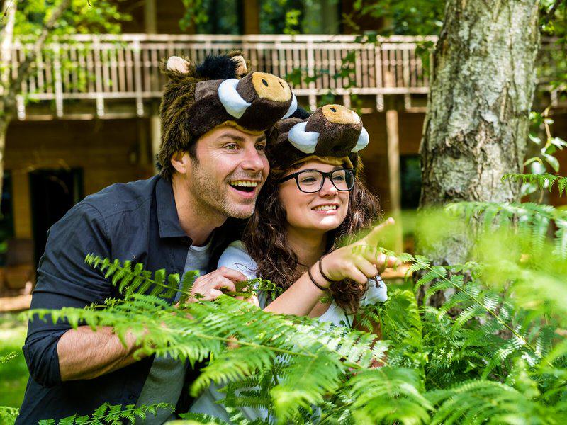 4EB623D907FBA0DC13FA5F947FCAE231