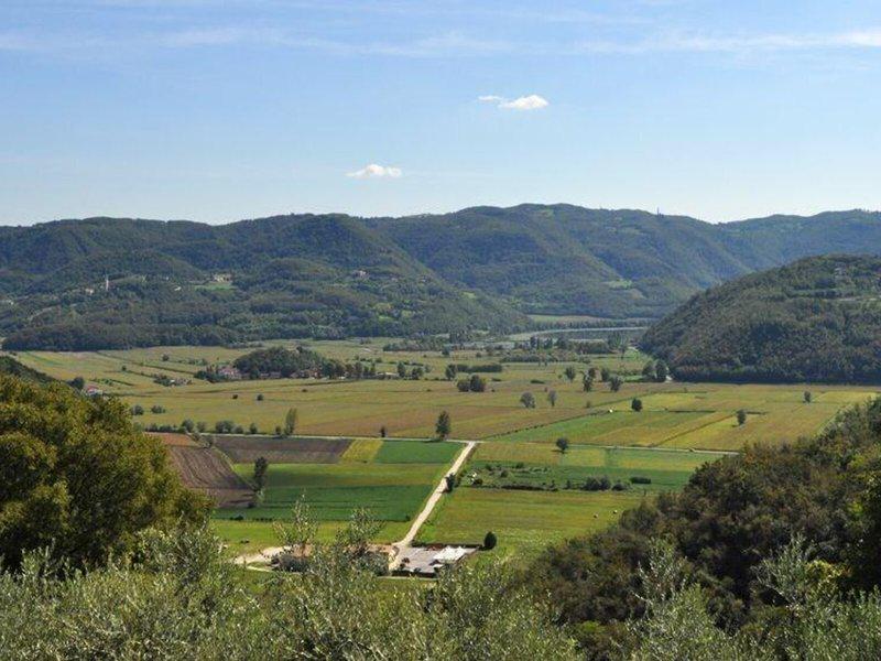 8E02BD88FCE4FEC7DE282A7C7C9F3A4C