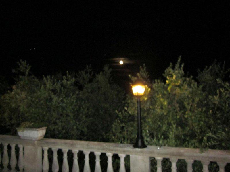 7BFF9AF5BD03EBFC43D2A733AE4DA12C