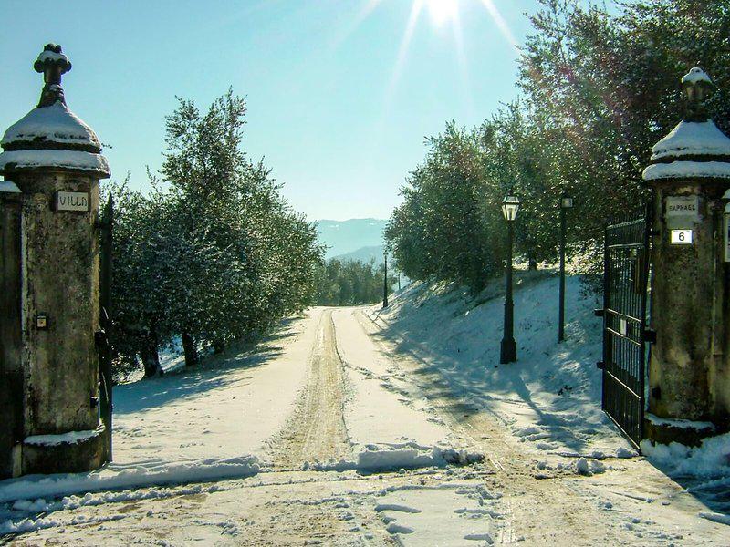 62AA215309D3E6F4F4D22A315BD1FEF8