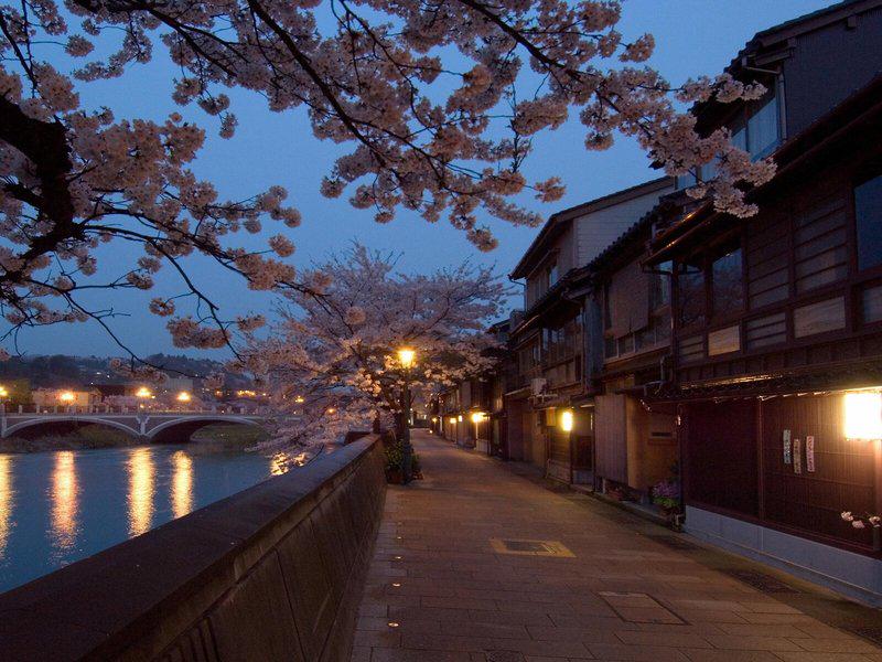 BEF12F838B3330A7BFA77FDEDE385030