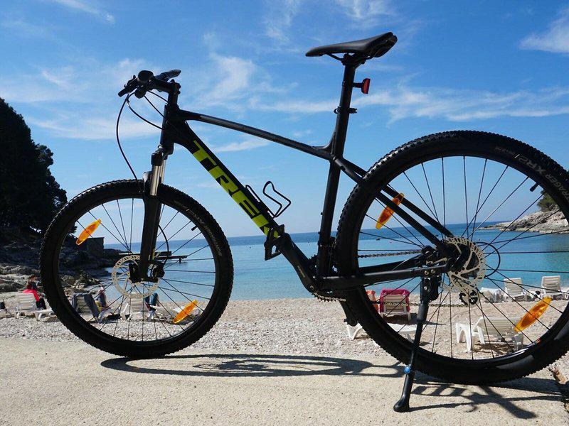 292594F9A3947228AE6E09E89997840A