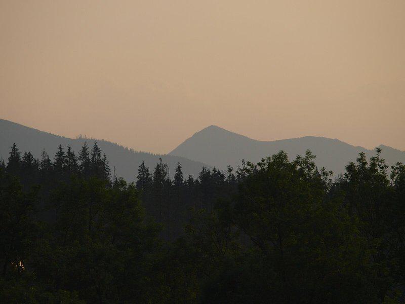 DF050D72EC7184403F7622C81F6C7DCD