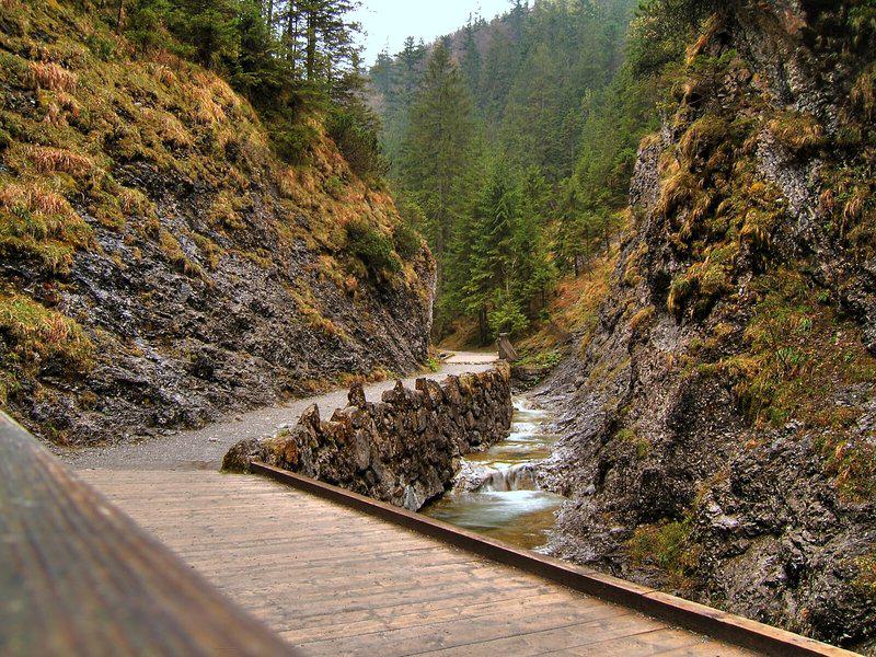 9AF1B40C81168CE80293DE217C16D61C