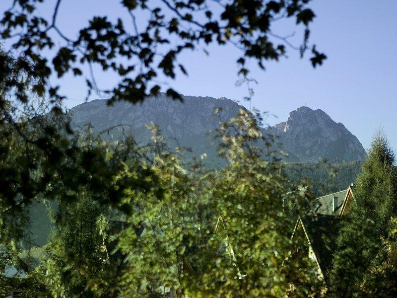 D25E5D2F25024BAAD2FAEEF003E79D2C