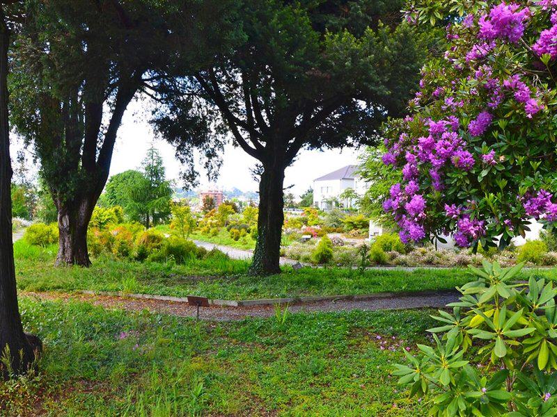 FC04F6DD2C1BAF9FB40C267D543ABB5A