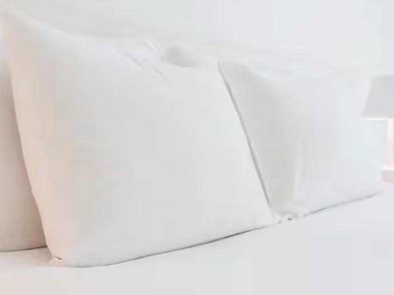 02B14E3C59444505001401217555A4F4