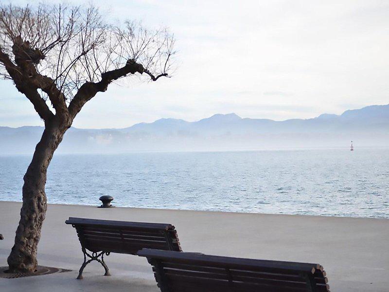 C83E0E9067AD1B01B684C828492A6AF5