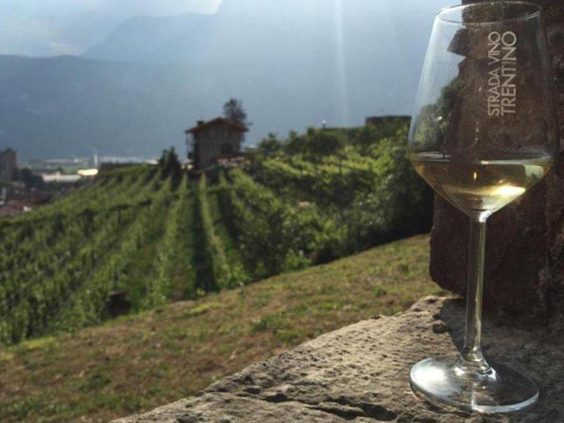 07C88136FBA0D2F8B4875DA3BBE513FF