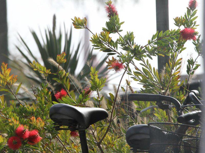 BD4D57E397A316B9ADB2EE6DA41D417E