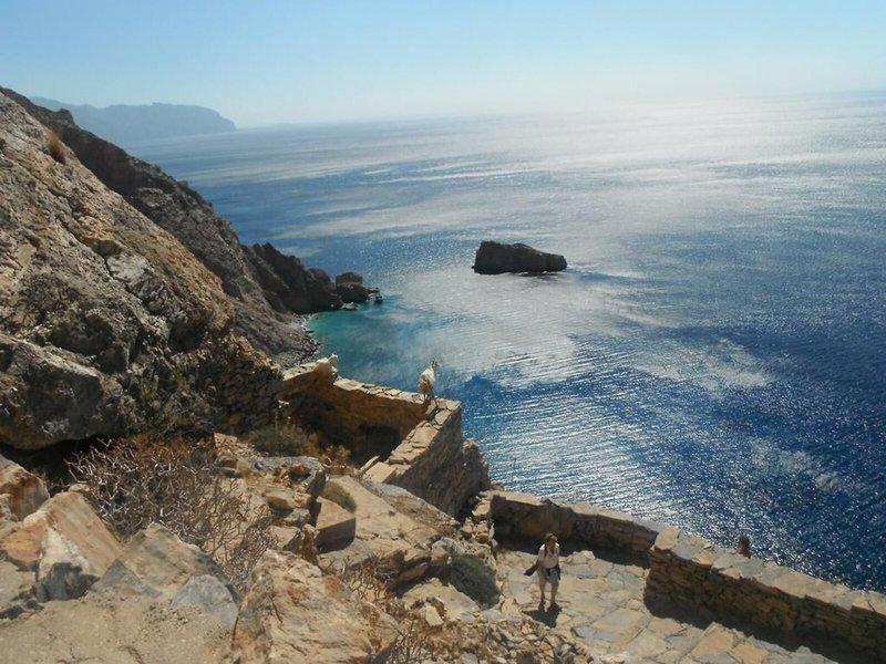 56C30A8D07ADB03ECAE0C675499F59D9