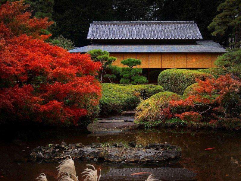 2822DD065BCDE1021630F4AA9BBB482B