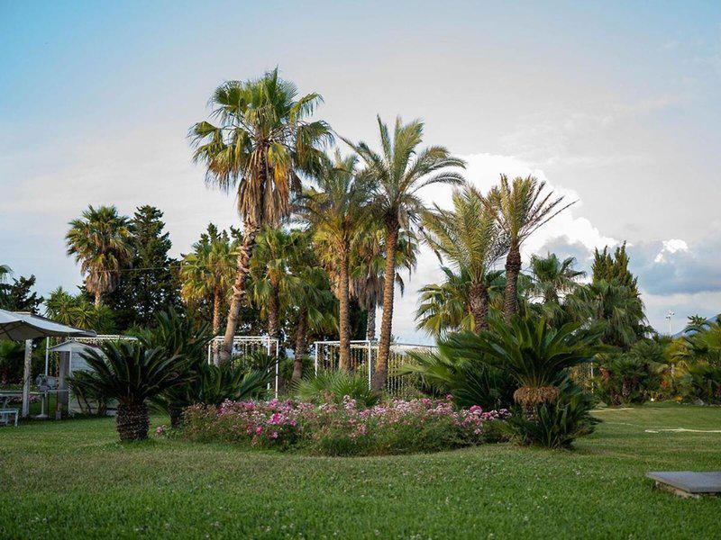 8845CD6EFE86AC1AED2B8C5071435597