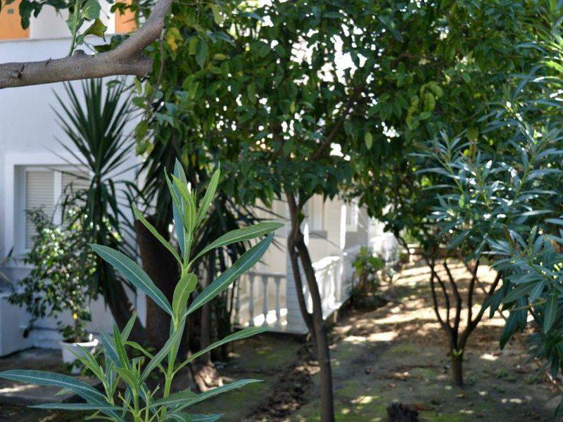 A479AD269508A832787CBE71D5CF2A9B