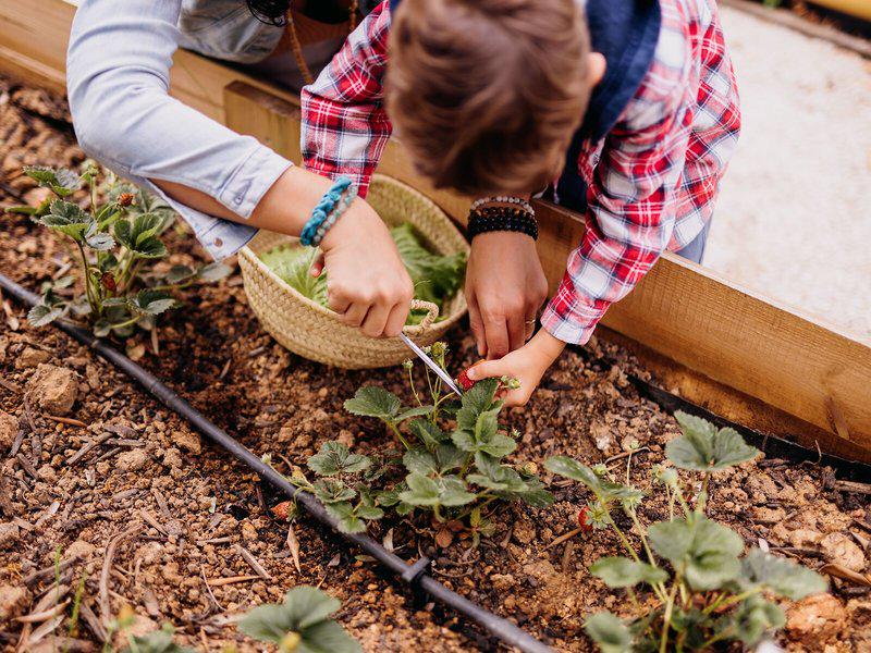 D11FC5EA7A05284D2E434BA5E2BAD14C