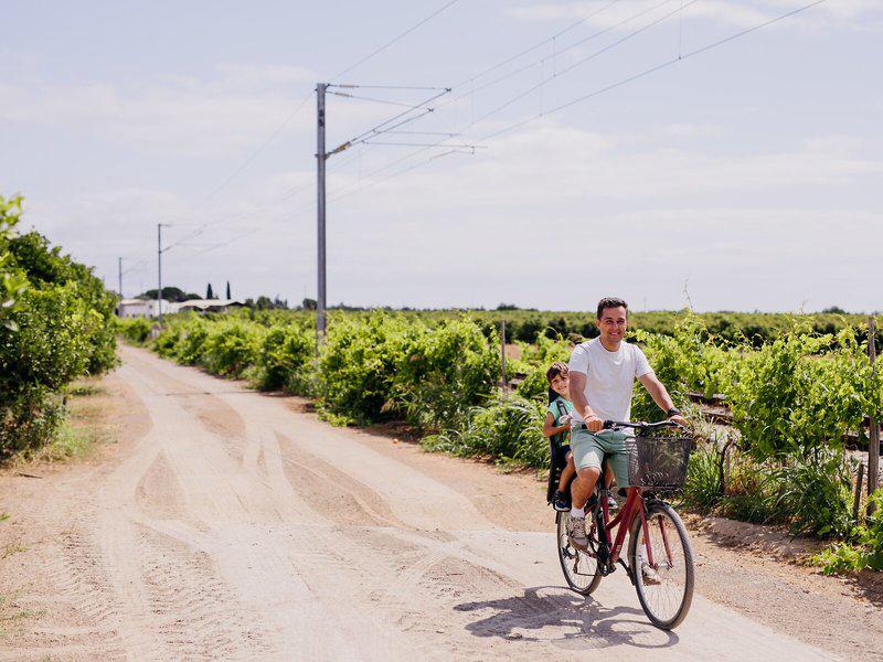 8C10A7D953AC775698EFDC30186178F9