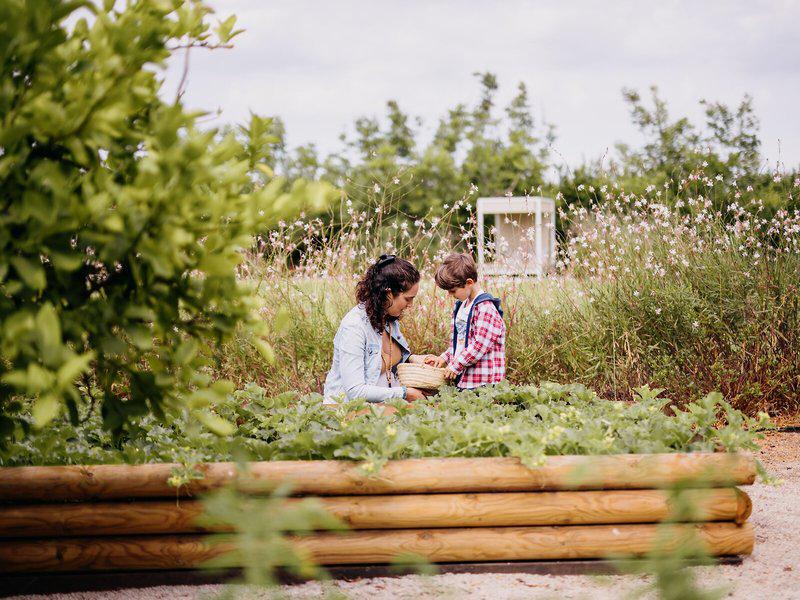 F5A898E3B2FE5D33AB883C174E5C6175