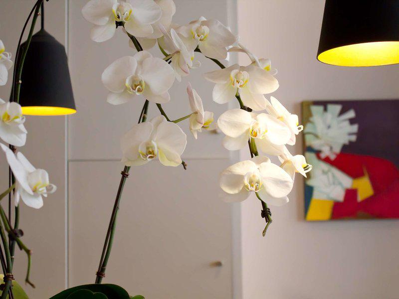 E244E3DF5184FA715F42C00A7195AF25