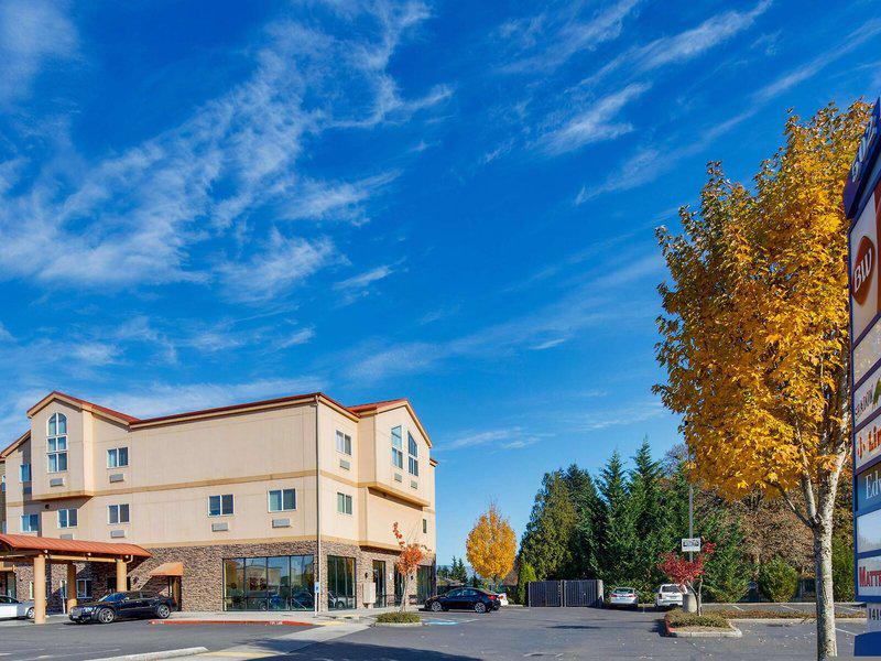 C91CC451069E9B77F2EFA8BE92AAB22E