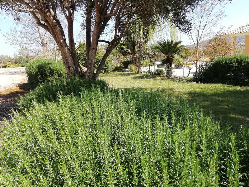 66D38D0F0AFDFD1012BCE30D368A985F