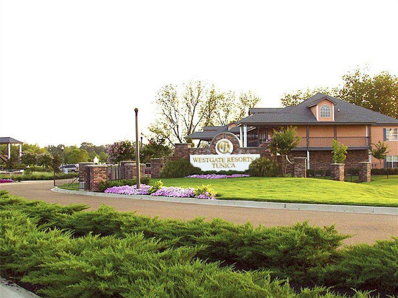 595F2C97AA05BCE838838AEC98559A99