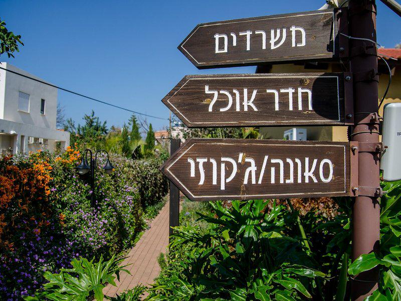 45CFD6B56F10CA25585C9E3D01748E7F