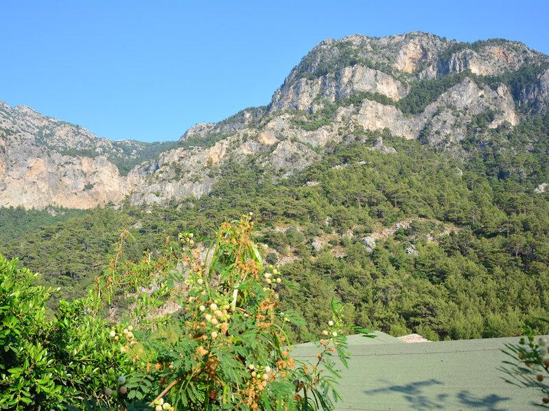 FB14B9A264779E71C933A1929D361FE0