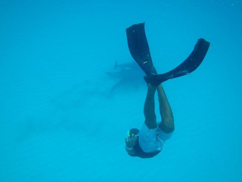 D4D72A47E8C354CE14D51A708ED49534