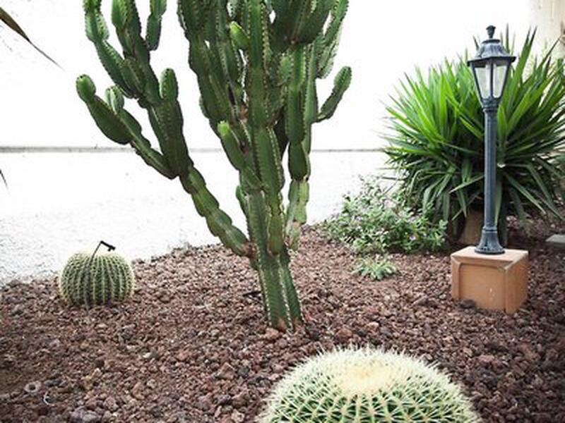 D9B8D2CB96CEA185F80C0CC06E401DF7