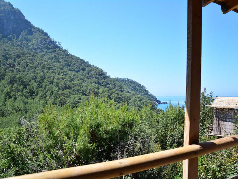 0494938D1CBE861D9DE01C1159899EF6