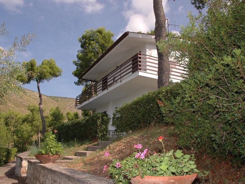 4C2B2F4D556598CD9D8A02C58277E97D