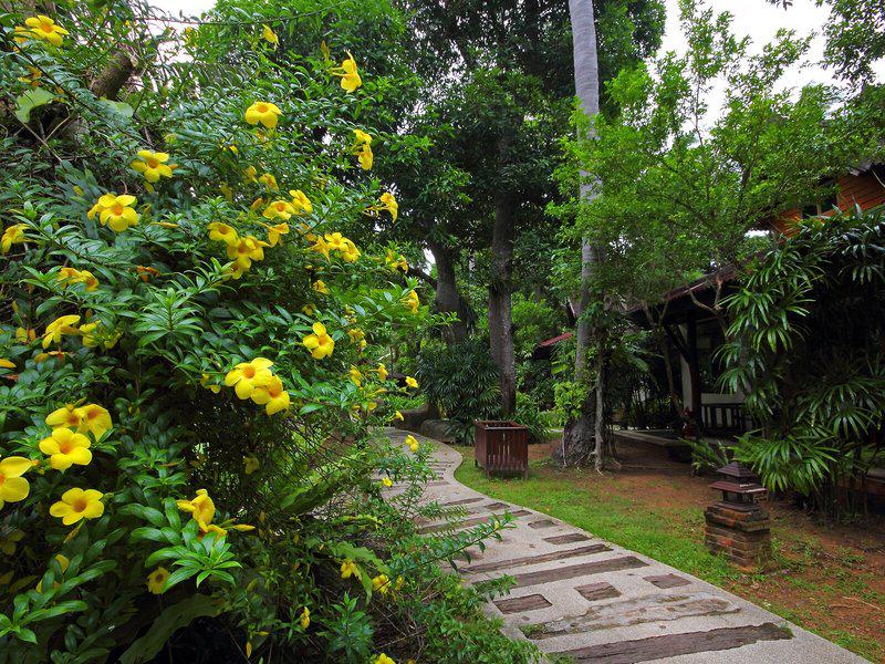 55A7E15FD7B5145A6D814DD1BBD09C72