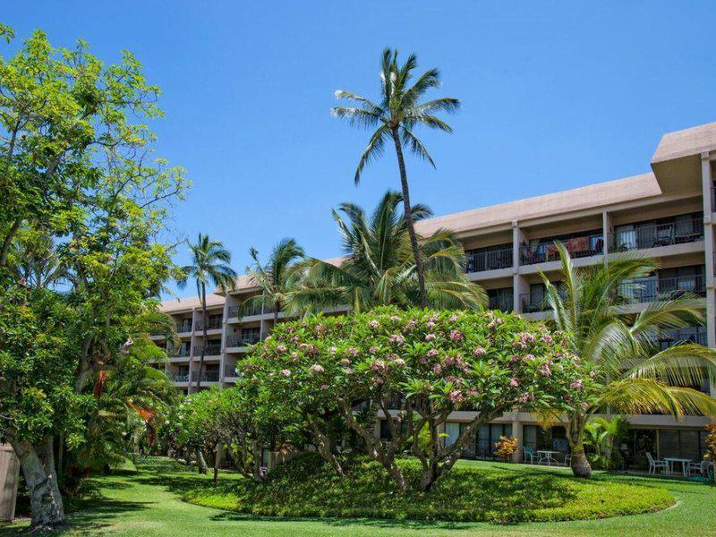 8AE8E10106876CFCF2AFF1E0DCDD4DCD