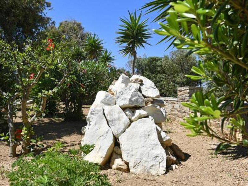 B706198AC7E2CA5C0D76DC69571F7936