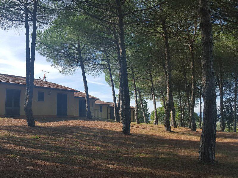 401F28F0602D064011902AF1377D7CD9