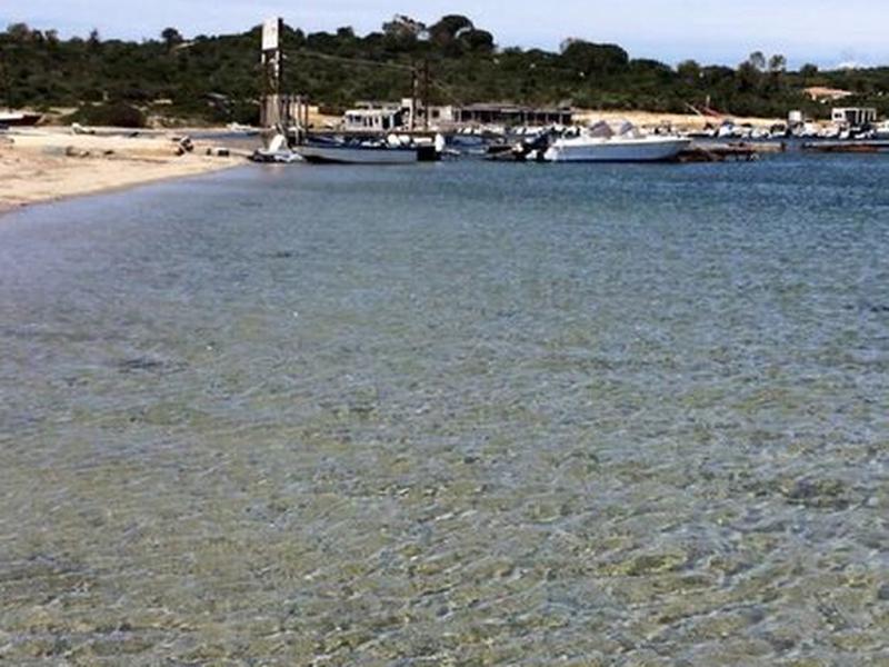 C318029B3F5B1C6C7CB94507414E0088